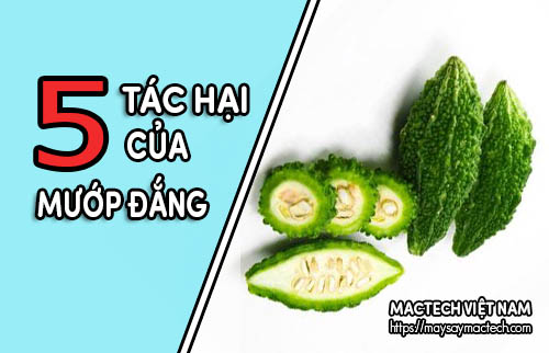 Tác hại của khổ qua