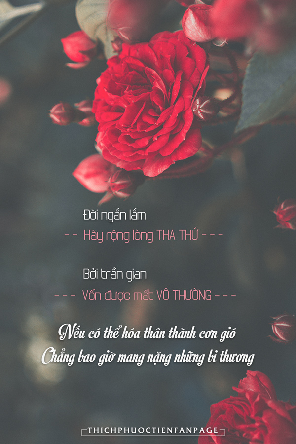 Tác hại khôn lường của lòng thù hận Gallery 2