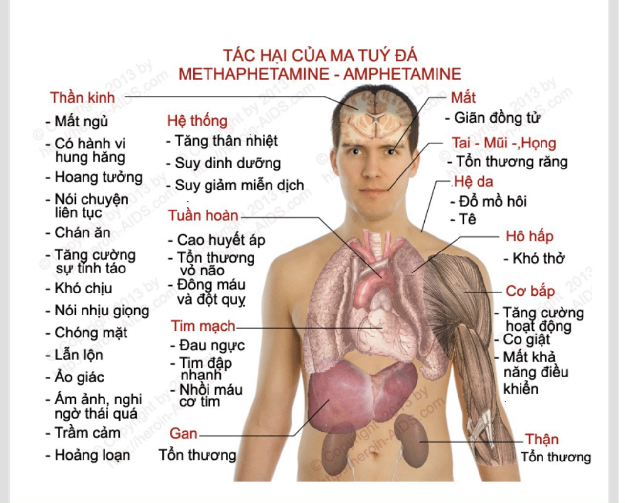 Tác hại của ma túy đến hệ tiêu hóa người nghiện như thế nào?