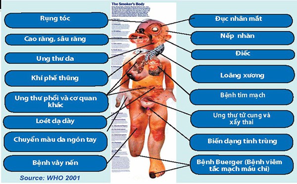 Chất Nicotine Có Hại Gì? Gallery 2