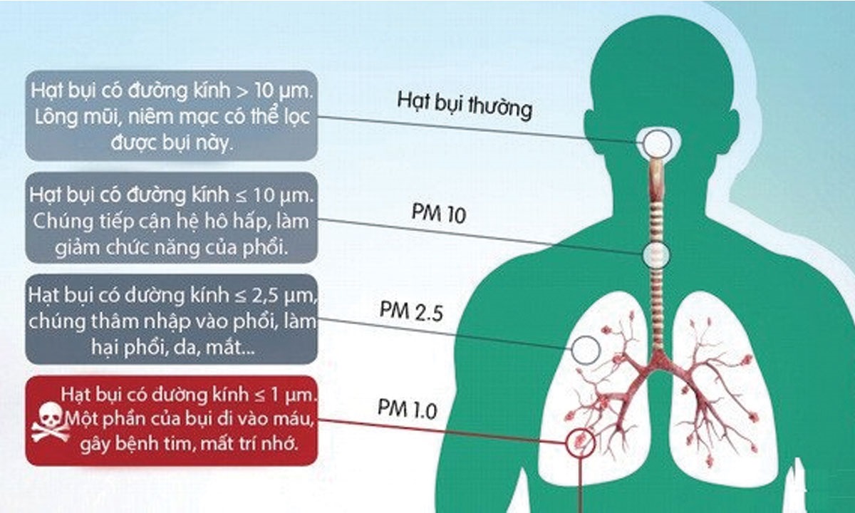 Tác hại của ô nhiễm không khí và cách bảo vệ không khí trong lành Gallery 1