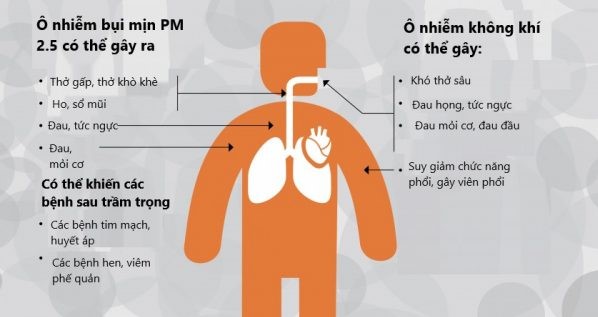 Tác hại khôn lường của ô nhiễm môi trường đối với sức khỏe và hành tinh Gallery 1