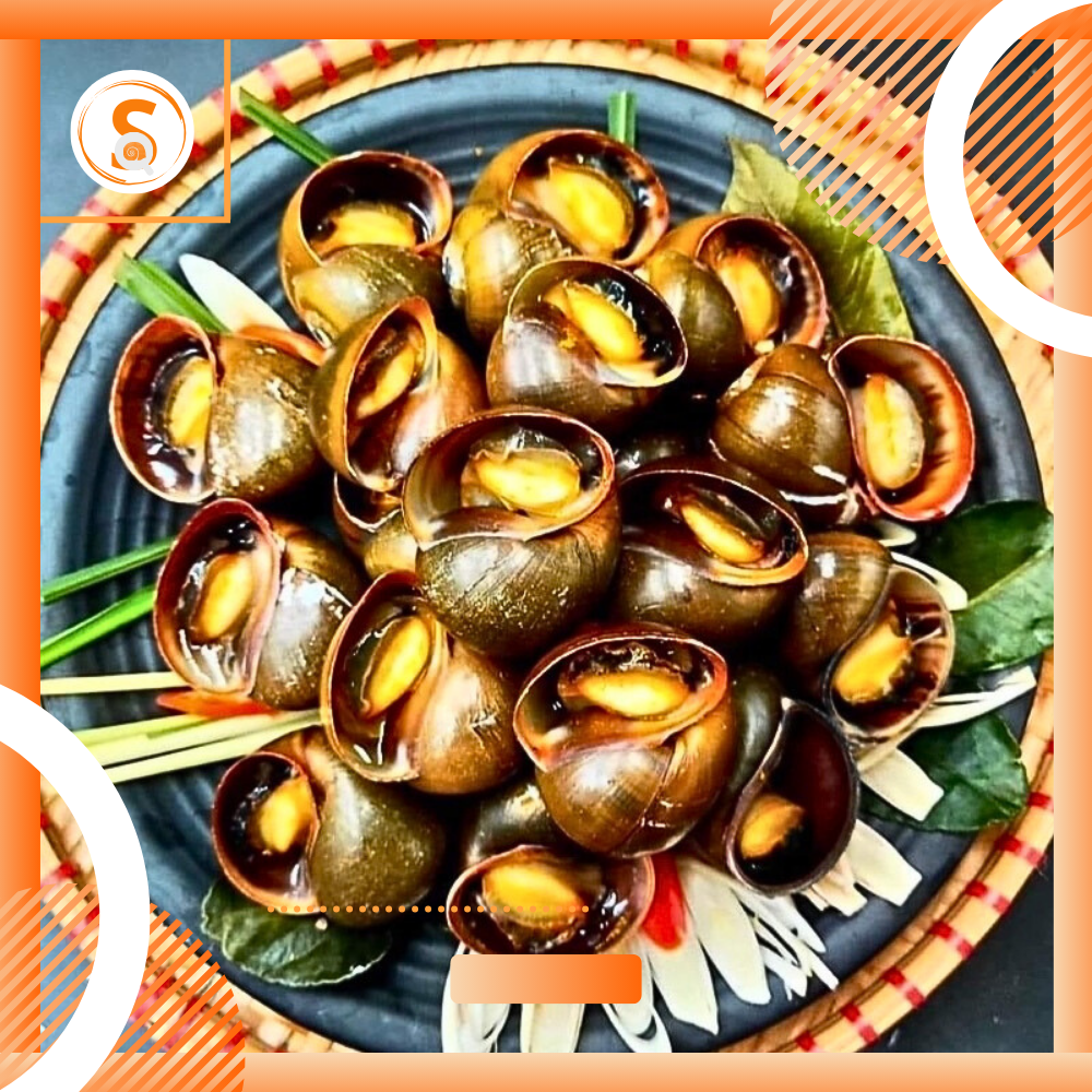 Ốc Gác Bếp Là Gì? Gallery 2