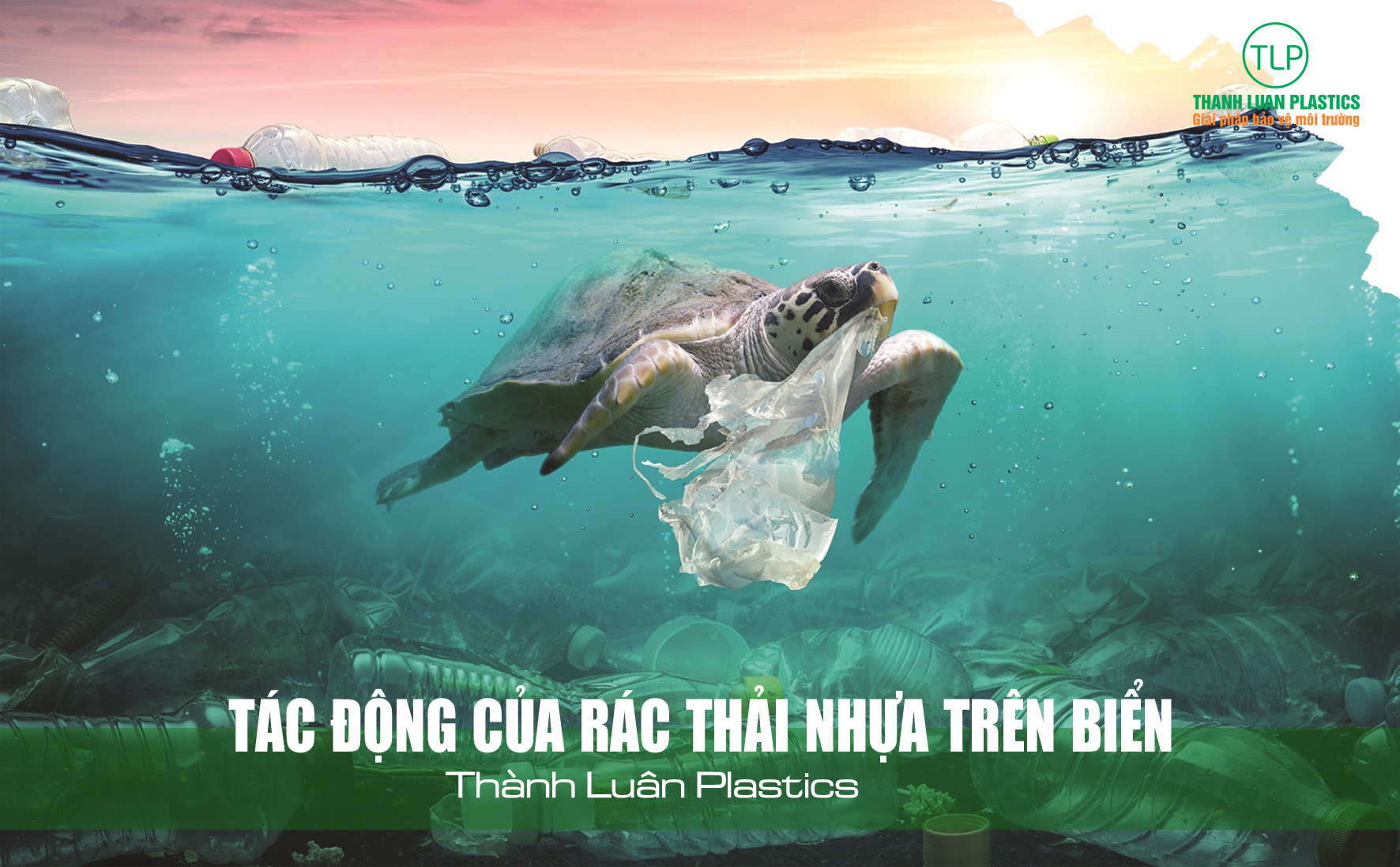 Tác hại khôn lường của rác thải nhựa đối với môi trường biển Gallery 1