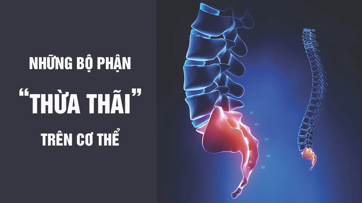 Thừa thãi là gì? Gallery 2