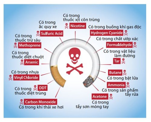 Tar trong thuốc lá là gì? Tác hại của Tar đối với sức khỏe Gallery 2