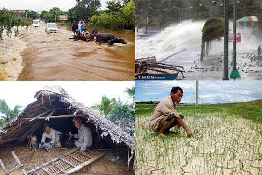 Tác hại khôn lường của thiên tai