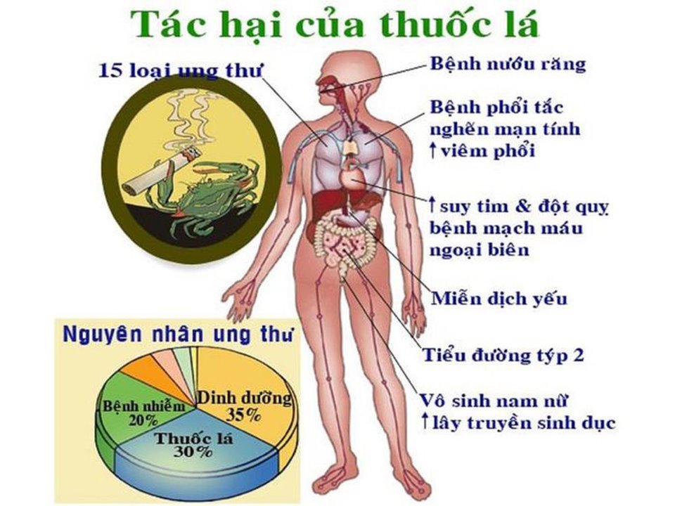 Tác hại của thuốc lá là gì? Gallery 1