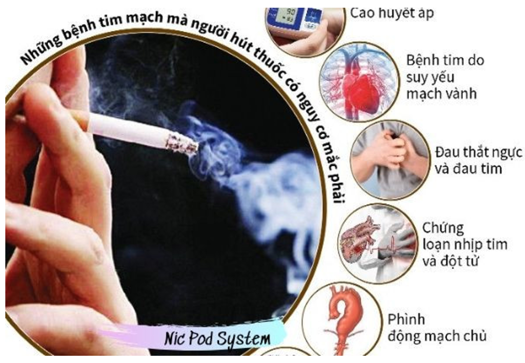 Tác hại của thuốc lá là gì? Gallery 2