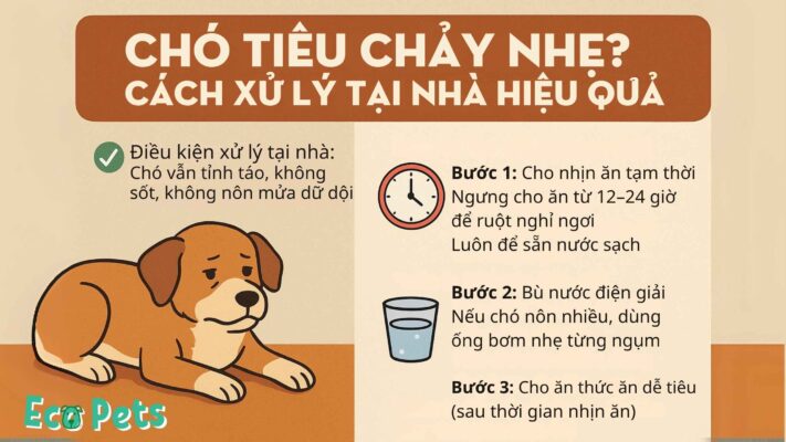 Chó nhịn đi vệ sinh có sao không? Gallery 1