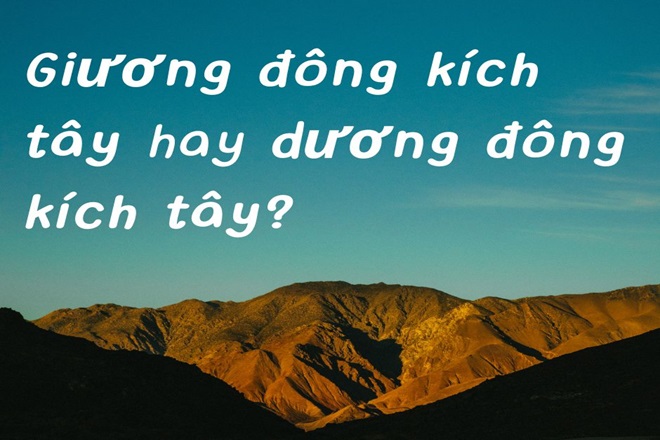 Dương Đông Kích Tây Sai Chính Tả Gallery 2