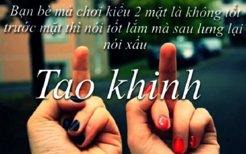 Những Câu Nói Khinh Thường Người Khác: Tổng Hợp Và Phân Tích Gallery 2