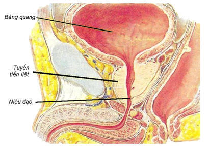 Tác hại của việc tự sướng ở nam giới