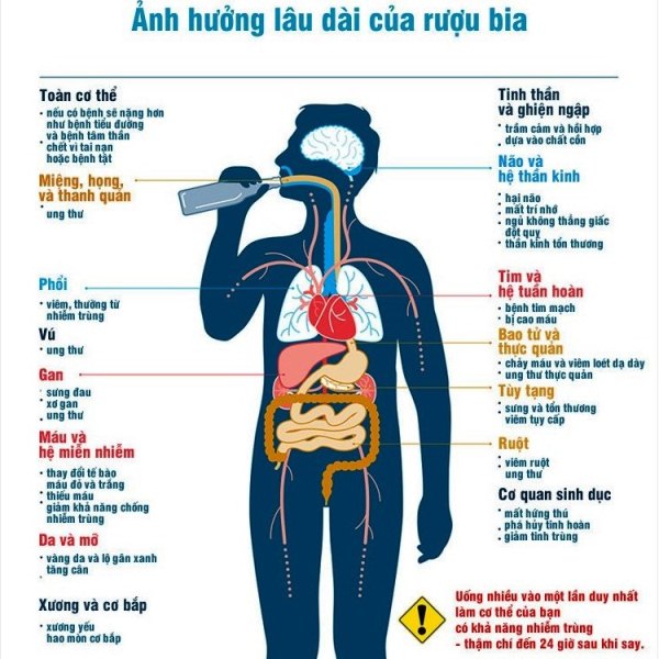Xỉn Rượu: Tác Hại, Phòng Ngừa và Cách Khắc Phục Gallery 1