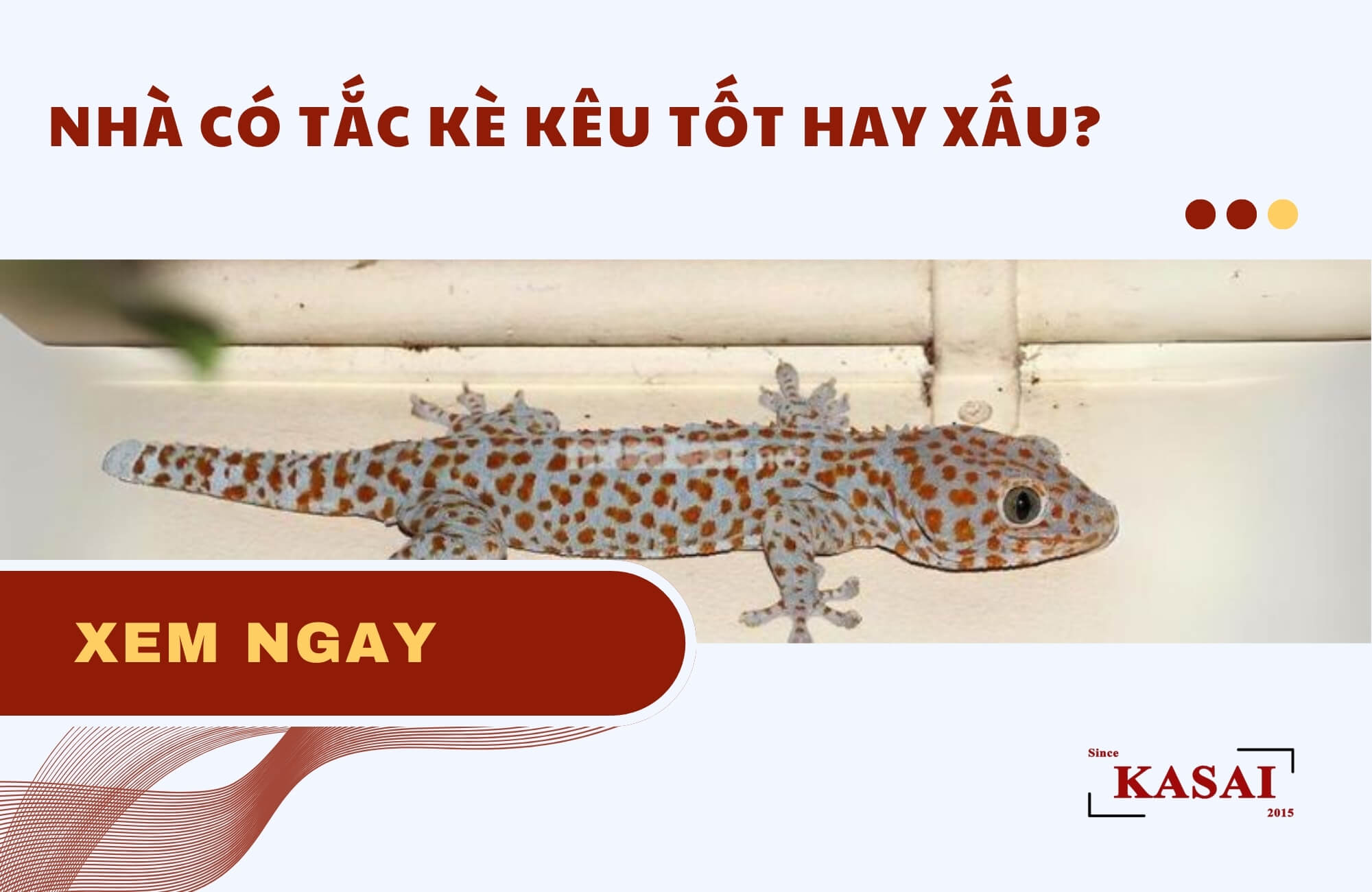Tiếng Tắc Kè Kêu Trong Nhà: Điềm Báo, Ý Nghĩa Và Cách Xử Lý Gallery 2