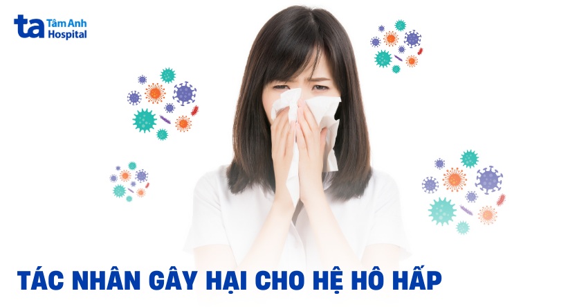 Tác nhân nào dưới đây không gây hại cho đường dẫn khí?