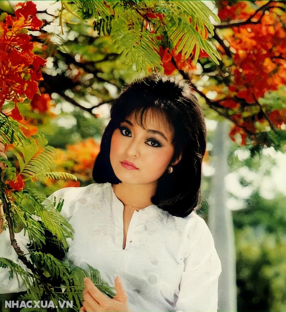 Ca Nhạc Hương Lan Gallery 2