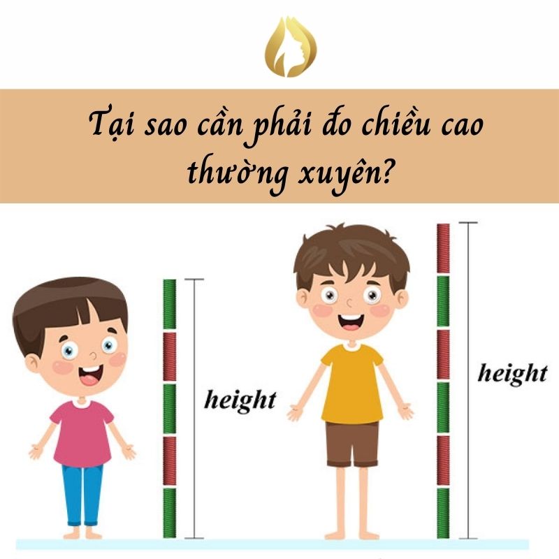 Đo Chiều Cao Online Chính Xác Gallery 1