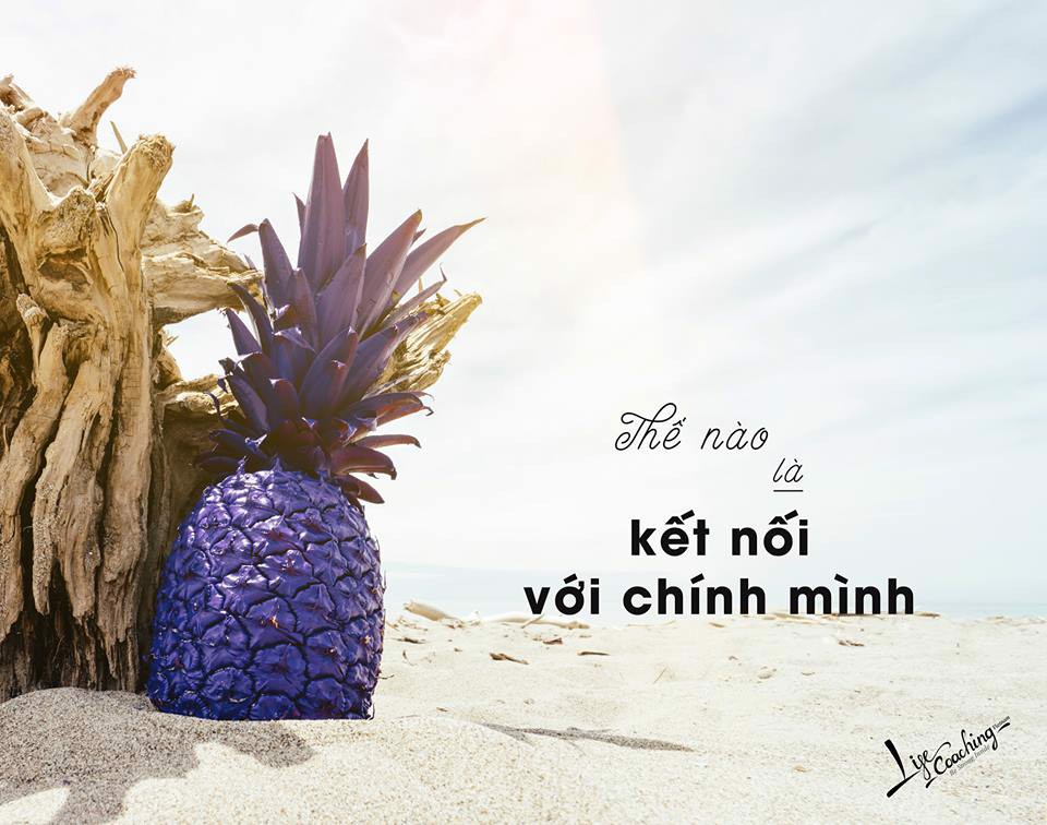 Kết nối với chính mình: Hành trình tìm về bản thân Gallery 1