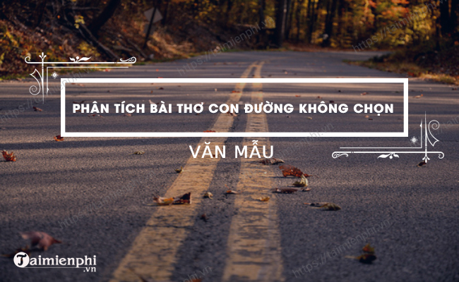 Phân tích con đường không chọn: Mở ra những cơ hội tiềm ẩn Gallery 1