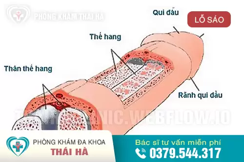 Sục sạo là gì? Hướng dẫn chi tiết về kỹ thuật Sục sạo Gallery 1
