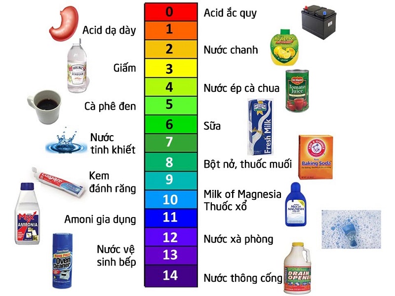 Ca(OH)2 làm quỳ tím chuyển màu gì? Gallery 1