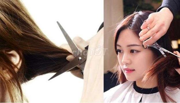 Tại sao cắt tóc lại bị ốm?