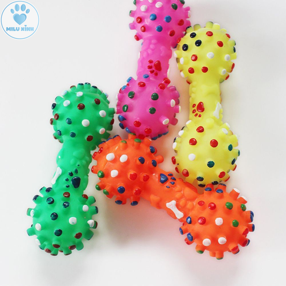 Xương Đồ Chơi Cho Chó: Hướng Dẫn Chọn Lựa & Lợi Ích Gallery 1