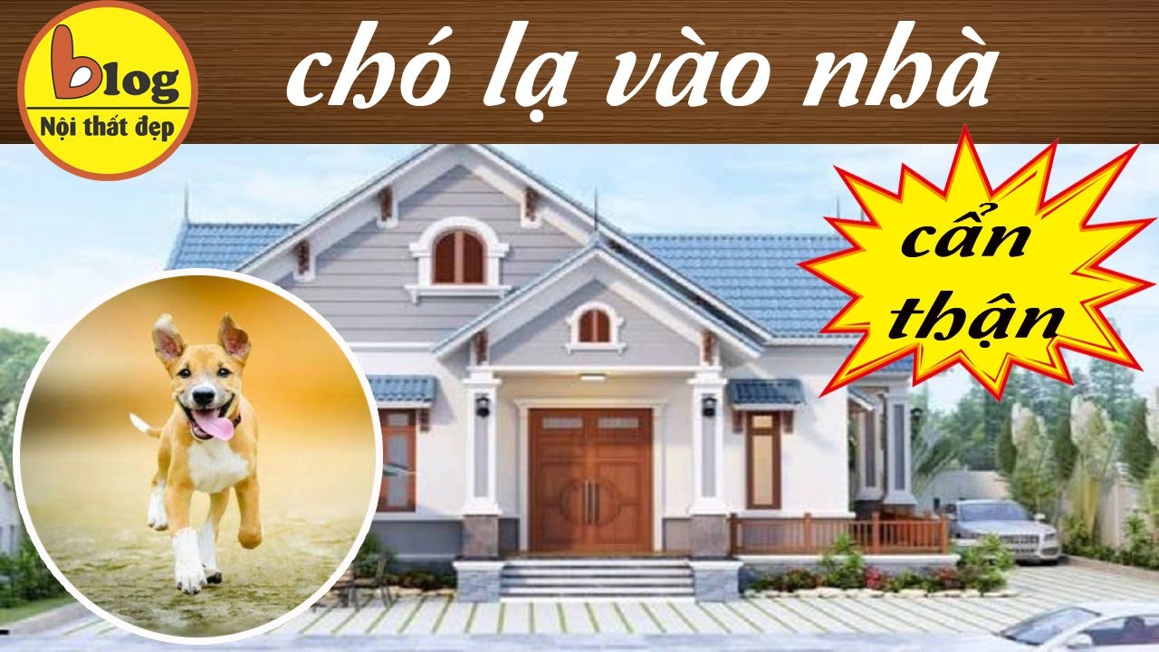 Chó đến nhà ở: Nguyên nhân và cách xử lý Gallery 1