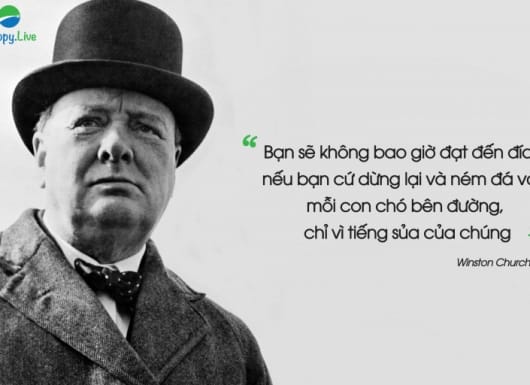Chó Cứ Sủa, Đoàn Người Cứ Đi: Giải Mã Hành Vi Và Cách Phản Ứng Gallery 1