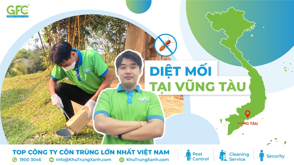 Diệt Mối Vũng Tàu - Giải Pháp Tận Gốc, Hiệu Quả Gallery 1