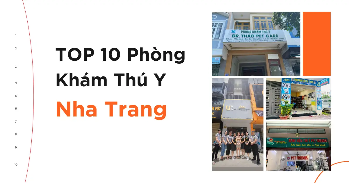 Pet Friend Nha Trang: Địa chỉ chăm sóc thú cưng uy tín tại thành phố biển Gallery 2