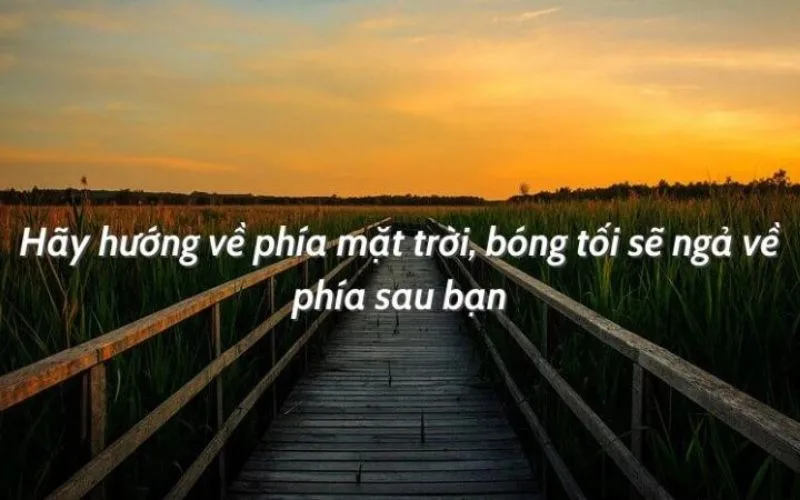 STT Làm Lại Cuộc Đời: Tìm Lại Bản Thân Và Sống Một Cuộc Đời Ý Nghĩa Gallery 1