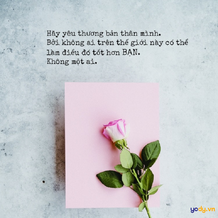 STT Yêu Đời: Tuyển Tập Những Câu Nói Hay Về Cuộc Sống Tích Cực Gallery 1