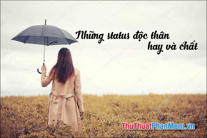 STT Hay Về Độc Thân - Thưởng Thức Cuộc Sống Riêng Tự Gallery 1