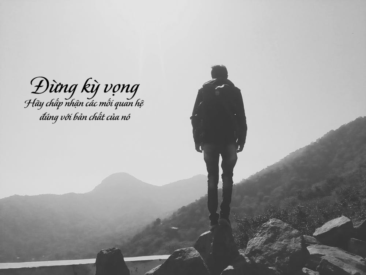 Đừng Hy Vọng Quá Nhiều Gallery 1