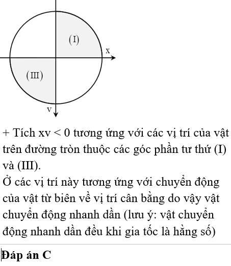 Gia tốc của vật dao động điều hòa bằng 0 khi nào? Gallery 1
