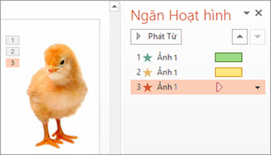 Tại sao hiệu ứng trong PowerPoint không chạy?