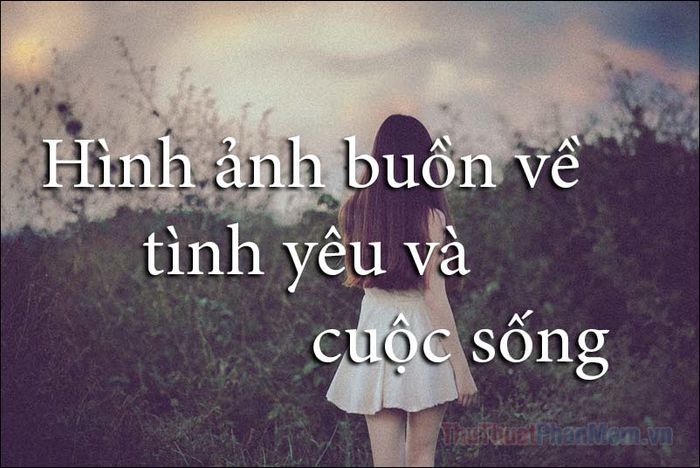 Hình Buồn Tình Yêu: Thể Hiện Cảm Xúc Qua Hình Ảnh Gallery 1