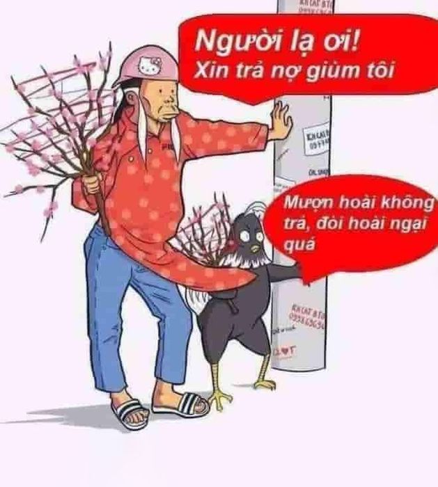 Hình Ảnh Đòi Nợ Hài Hước: Khi Sự Nghiêm Túc Gặp Gỡ Hài Hước Gallery 1