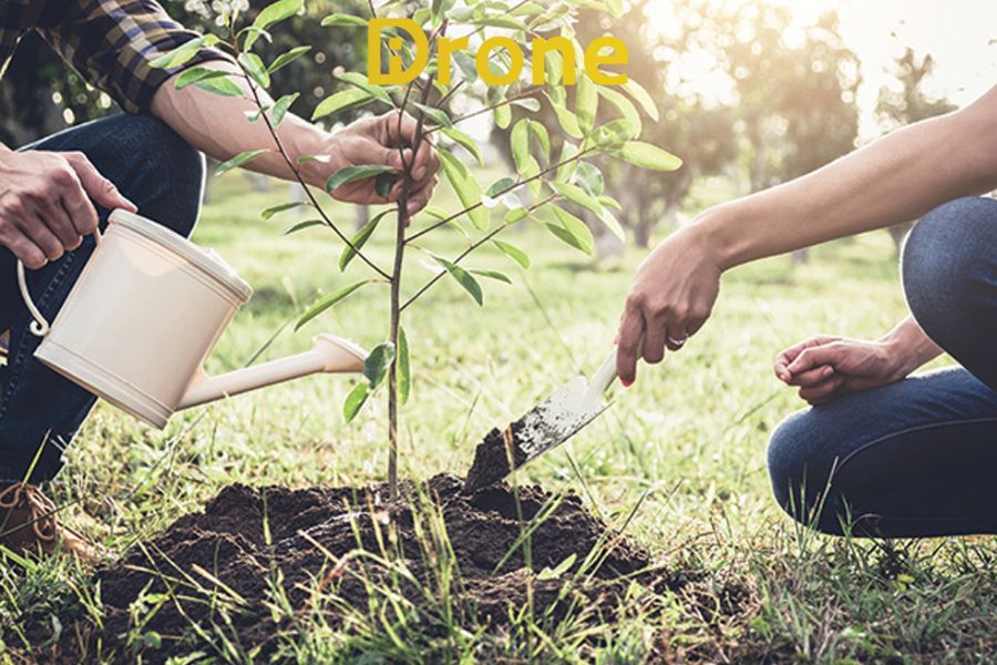 Tại sao khi bón phân cho cây trồng cần phải kết hợp với việc tưới nước?