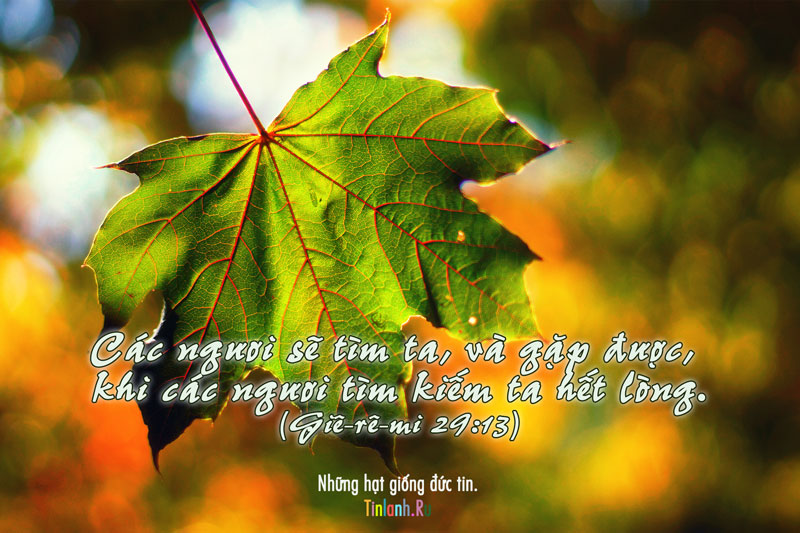 Cấm Từ Bỏ Hy Vọng