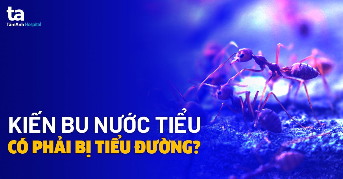 Tại Sao Kiến Bu Vào Nước Lọc? Gallery 2