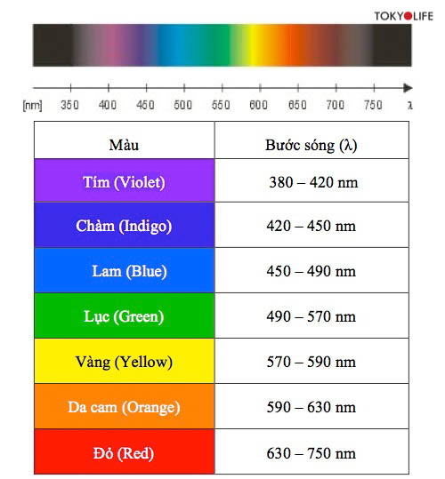 Màu Gì Không Bắt Nắng? Gallery 1