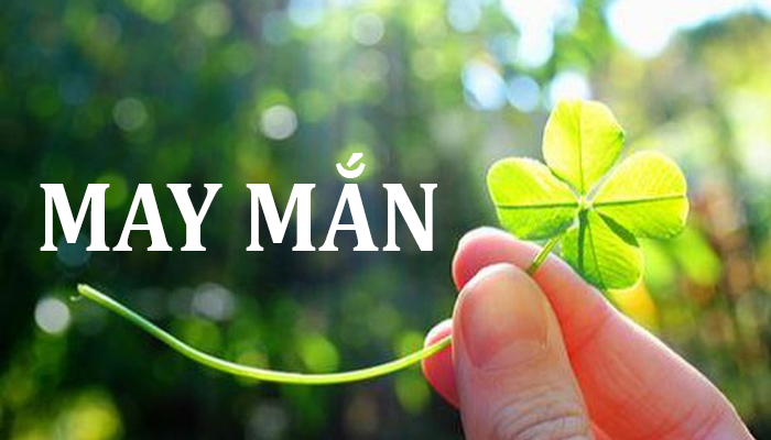 Mai mắn hay may mắn? Gallery 1