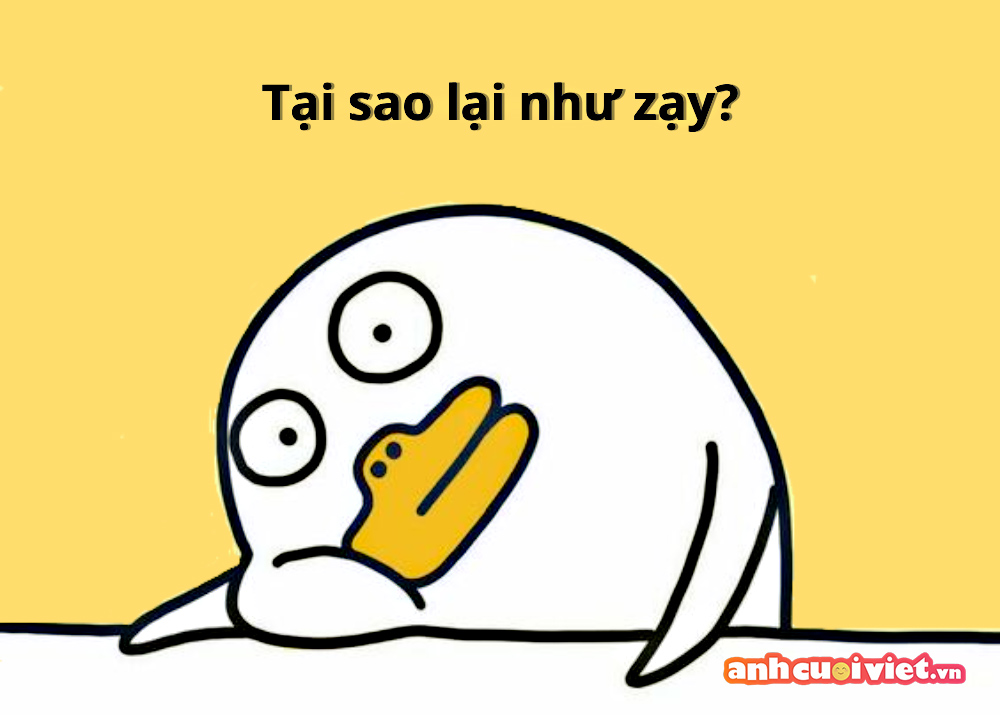 Meme Có Chữ: Tổng Hợp Những Meme Hài Hước Nhất Gallery 2
