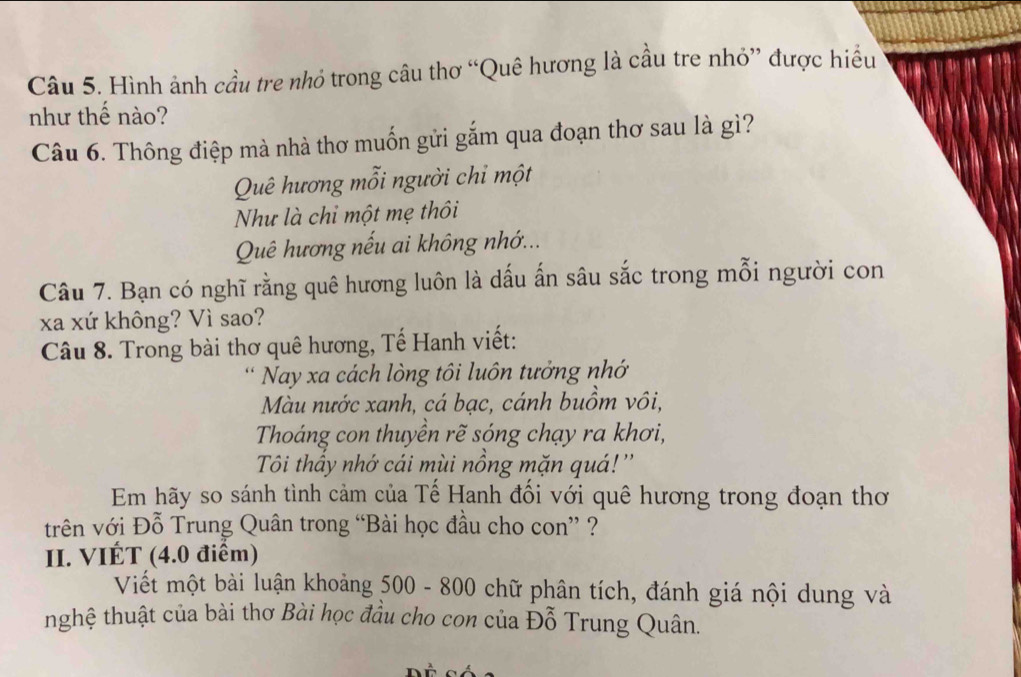 Tôi Thấy Nhớ Cái Mùi Nồng Mặn Quá Gallery 2