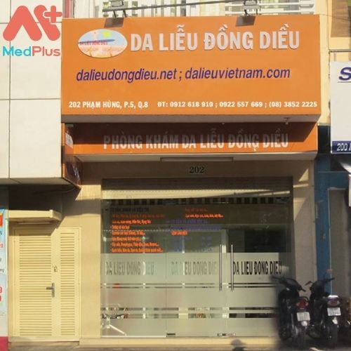 Da Liễu Đồng Diều Gallery 2