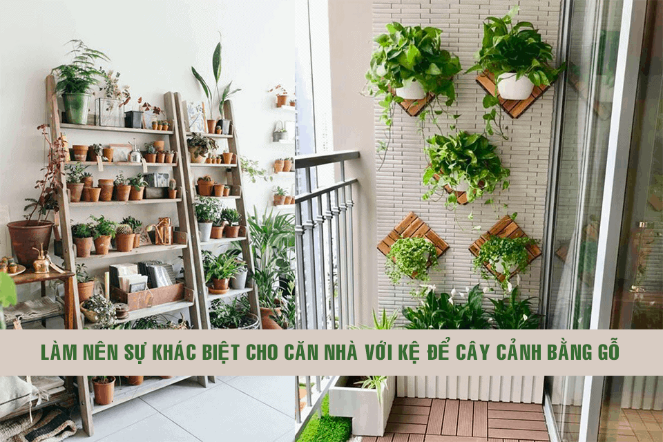 Kệ Gỗ Để Cây: Giải Pháp Hoàn Hảo Cho Ngôi Nhà Xanh Của Bạn Gallery 1