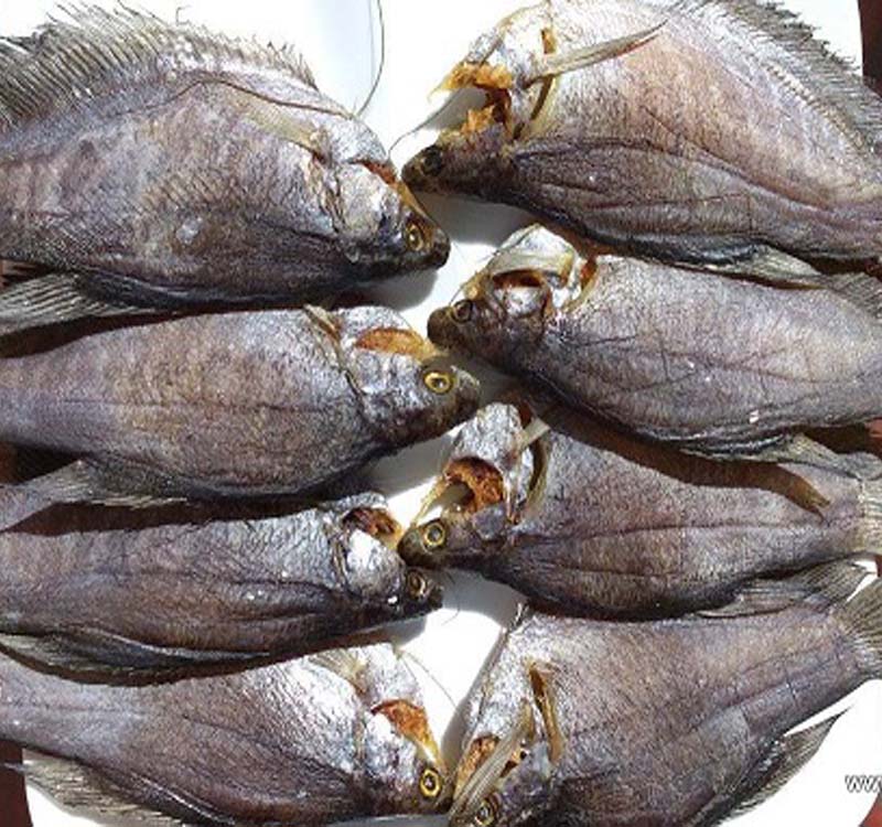 Khô Cá Sặc 1 Nắng: Món Ăn Vị Lạ, Bổ Dưỡng Từ Miền Tây Gallery 1